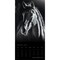 BrownTrout; The BrownTrout Portrait Series: The Noble Horse | 2027 12 x 24 Inch (Hanging) Monthly Square Wall Calendar | Plastic-Free; Category:Wall Calendars; Image:4